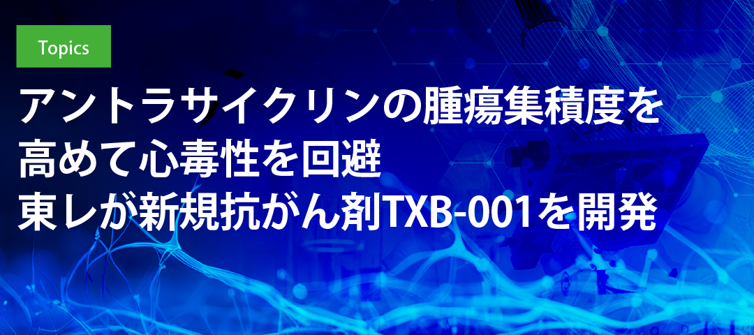 アントラサイクリンの腫瘍集積度を高めて心毒性を回避 東レが新規抗がん剤TXB-001を開発