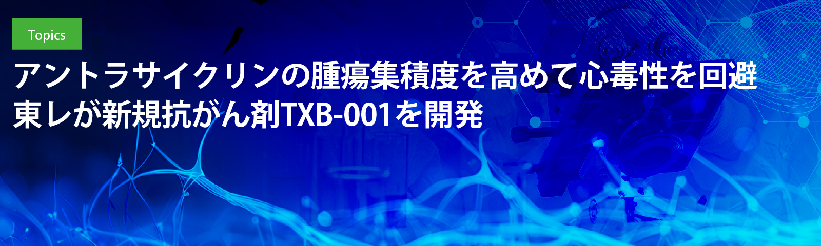 アントラサイクリンの腫瘍集積度を高めて心毒性を回避 東レが新規抗がん剤TXB-001を開発