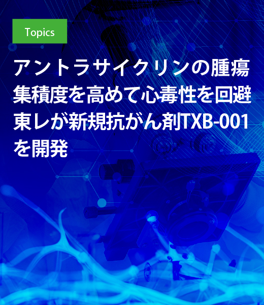 アントラサイクリンの腫瘍集積度を高めて心毒性を回避 東レが新規抗がん剤TXB-001を開発