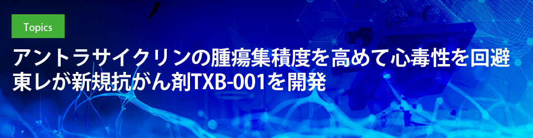 アントラサイクリンの腫瘍集積度を高めて心毒性を回避 東レが新規抗がん剤TXB-001を開発