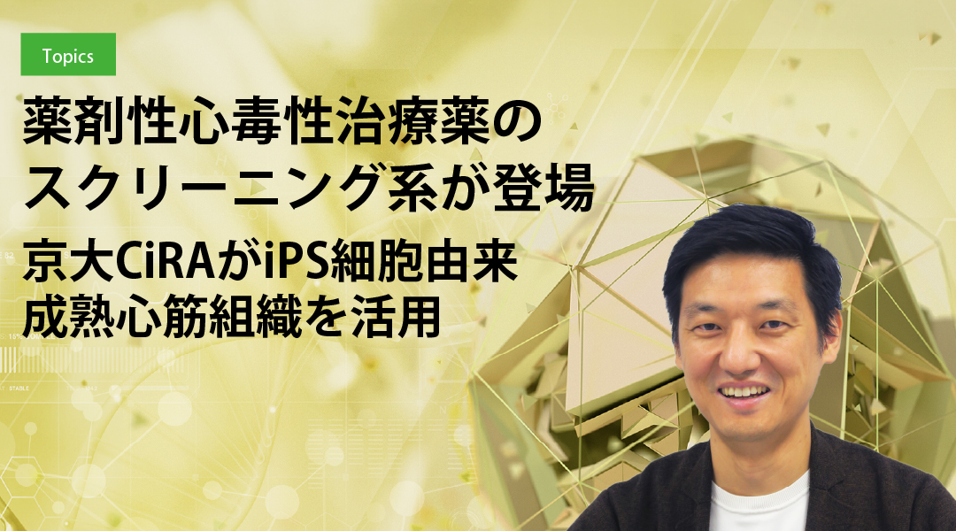 薬剤性心毒性治療薬のスクリーニング系が登場 京大CiRAがiPS細胞由来成熟心筋組織を活用