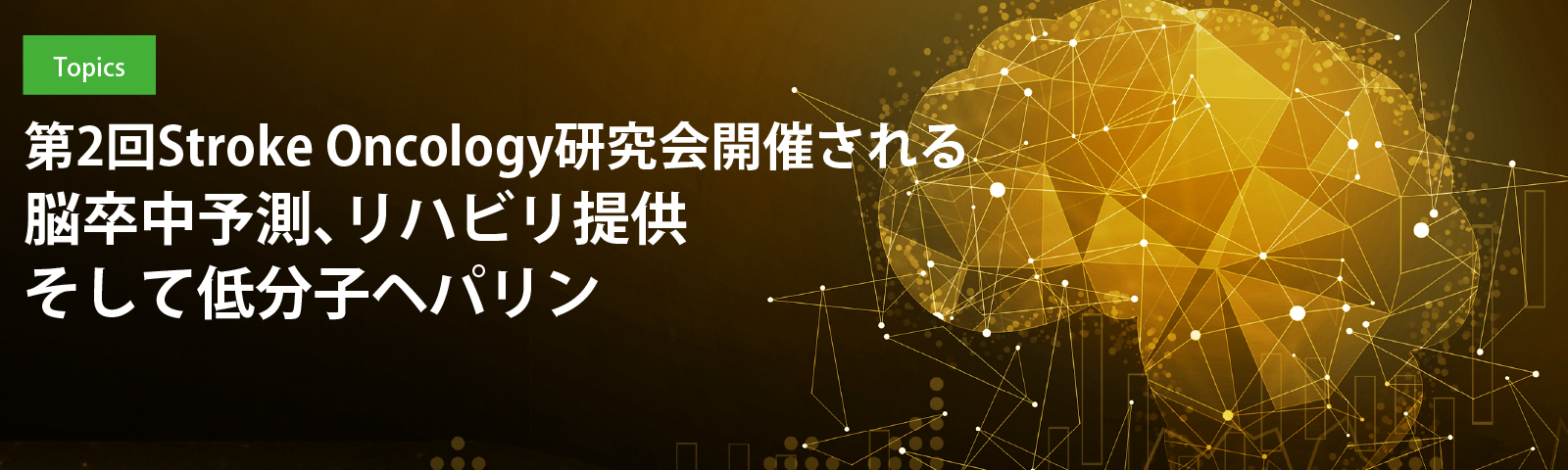 第2回Stroke Oncology研究会開催される 脳卒中予測、リハビリ提供そして低分子ヘパリン